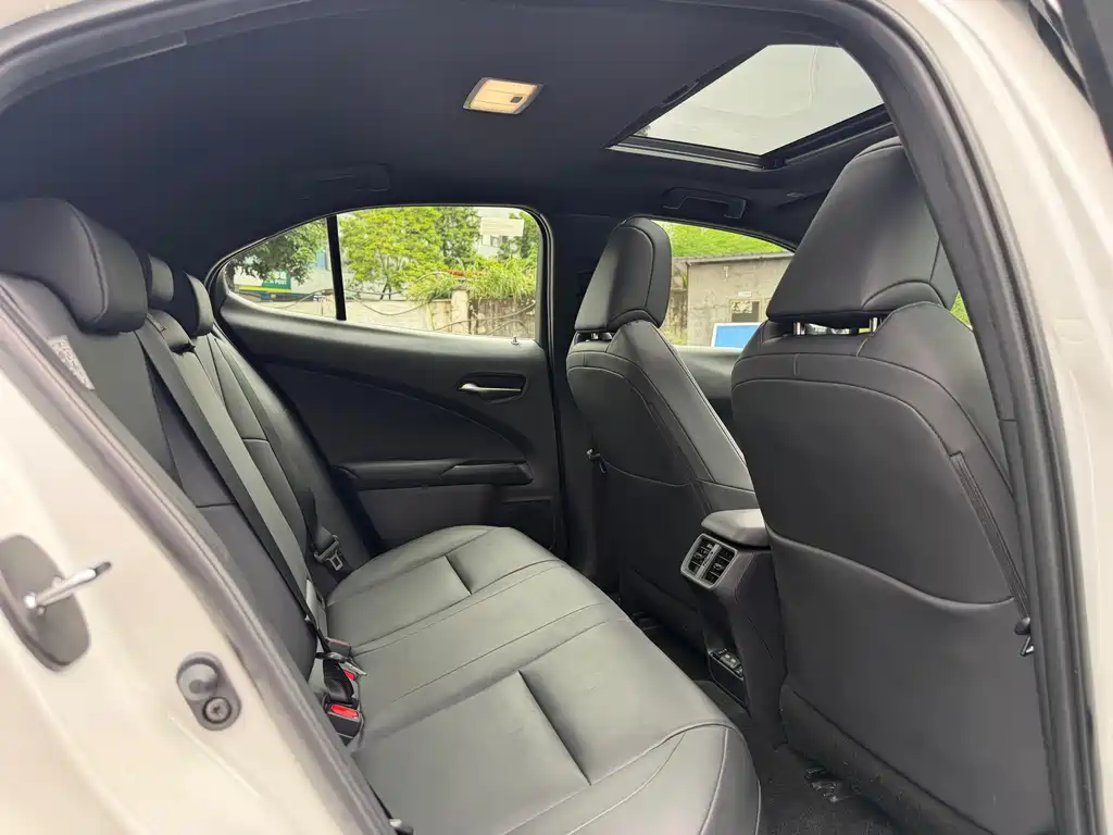 Lexus UX 2020 300e