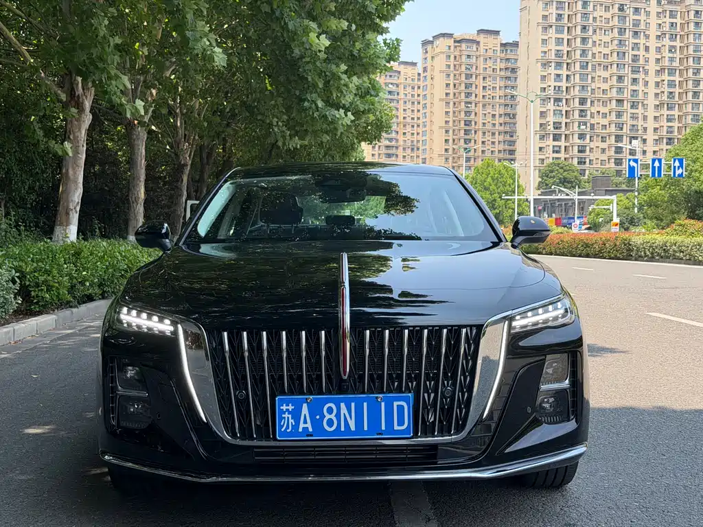 Hongqi H5 2025 2.0T AT
