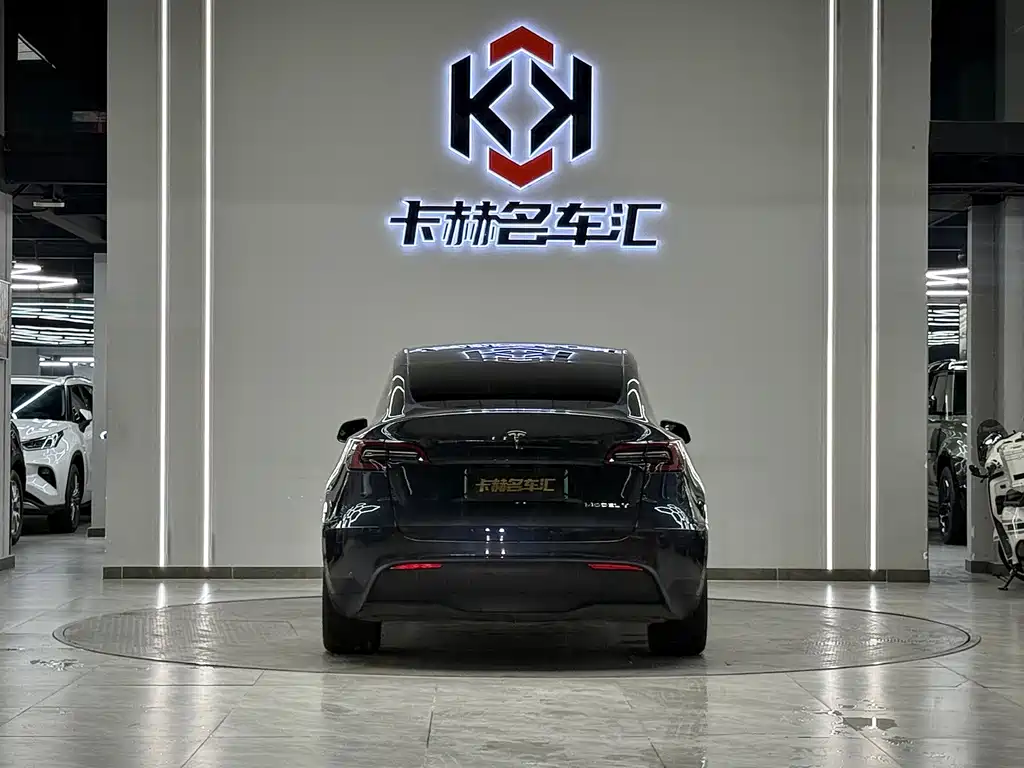 Tesla Model Y — миниатюра 8