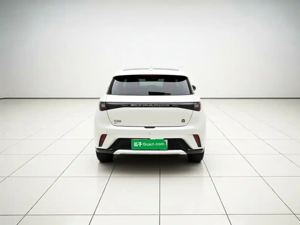 BYD Dolphin — миниатюра 5
