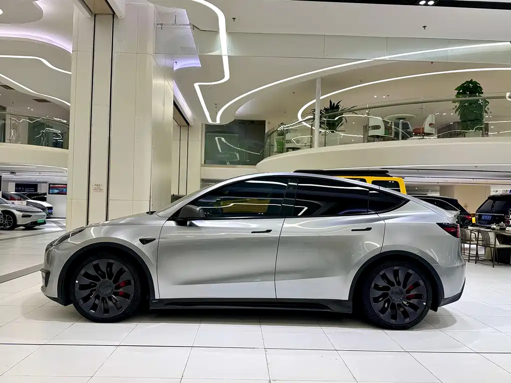 Tesla Model Y — миниатюра 3
