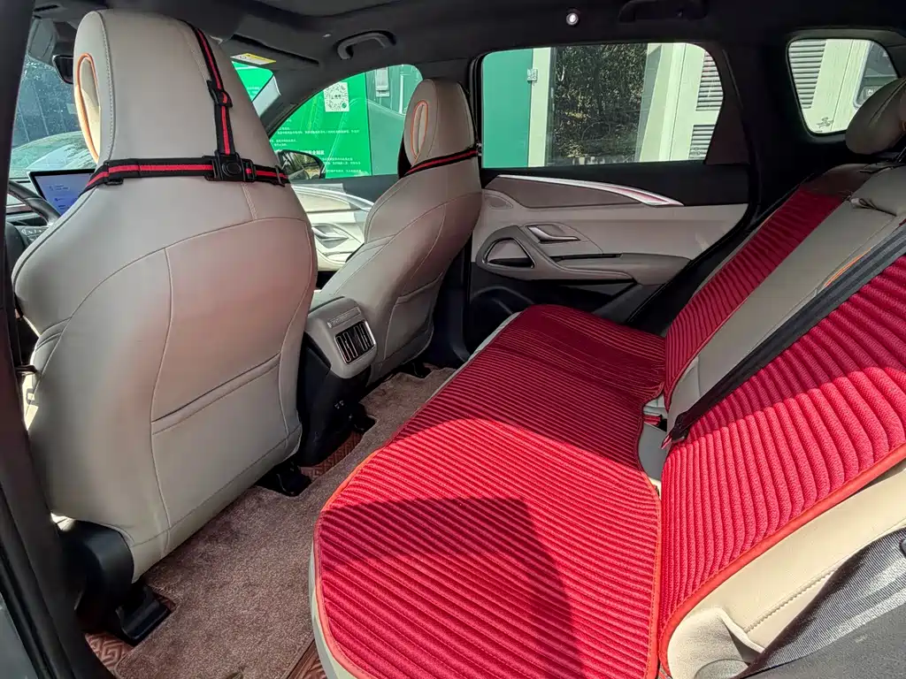 BYD Pro New Energy — миниатюра 4