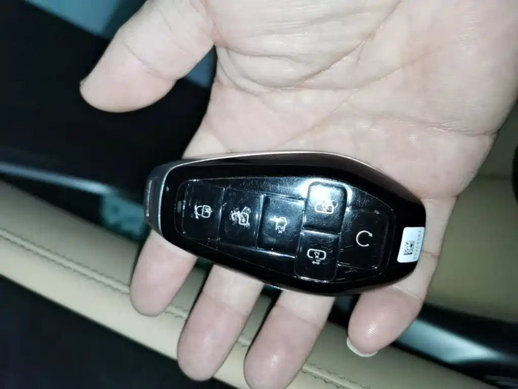 Denza Denza D9 — миниатюра 9