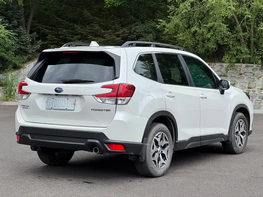 Subaru Forester — миниатюра 6