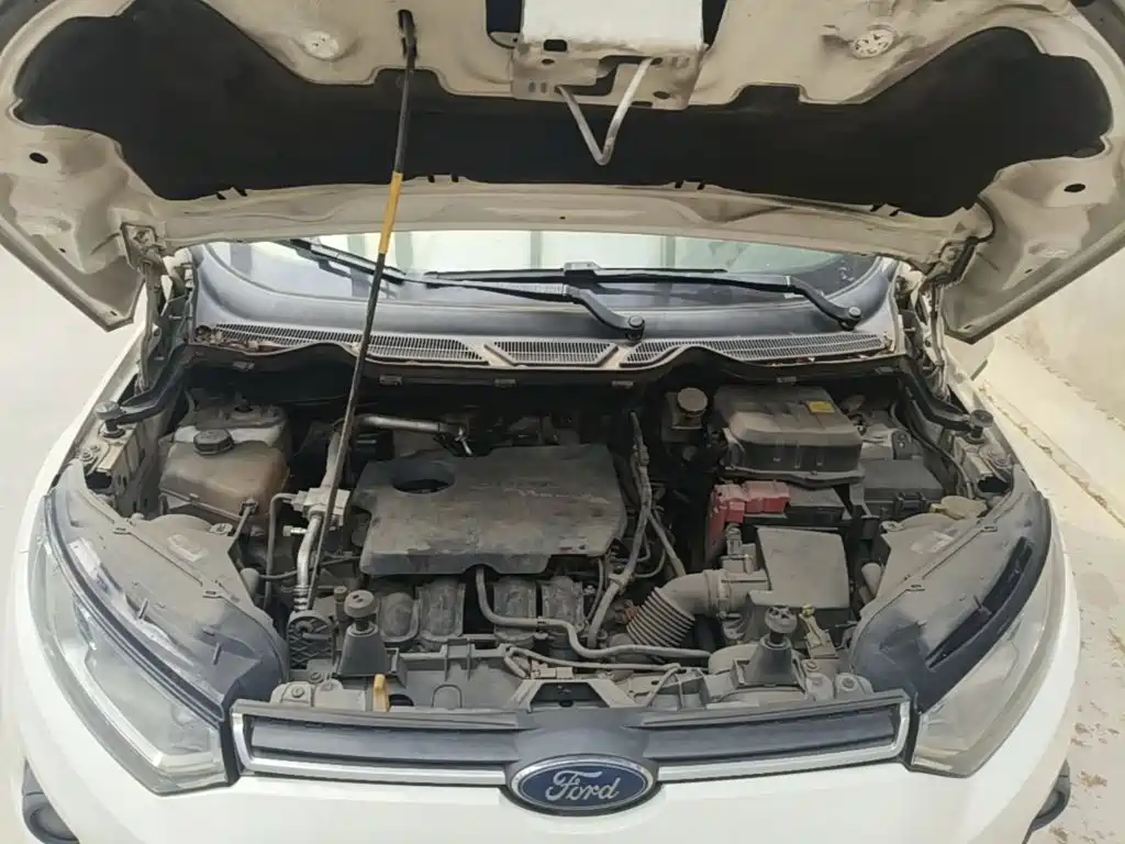 Ford Ecosport — миниатюра 20