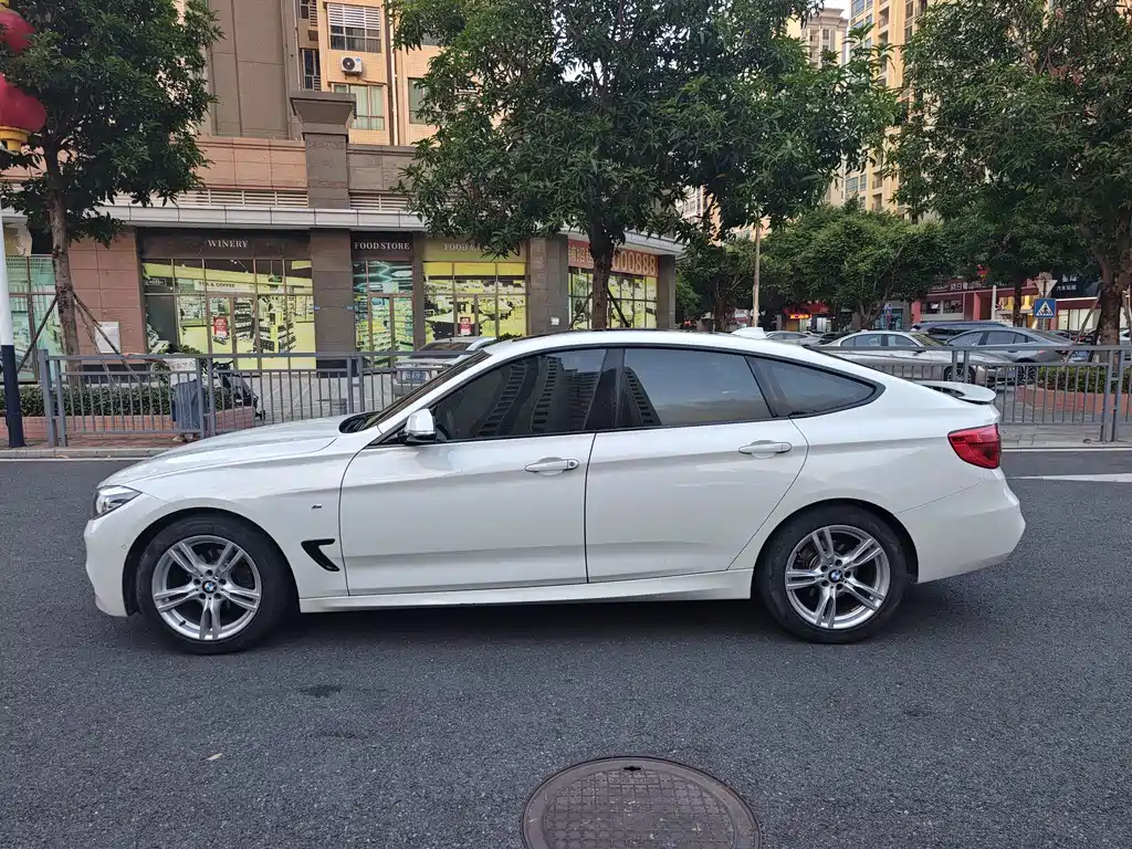 BMW 3 Series GT — миниатюра 7