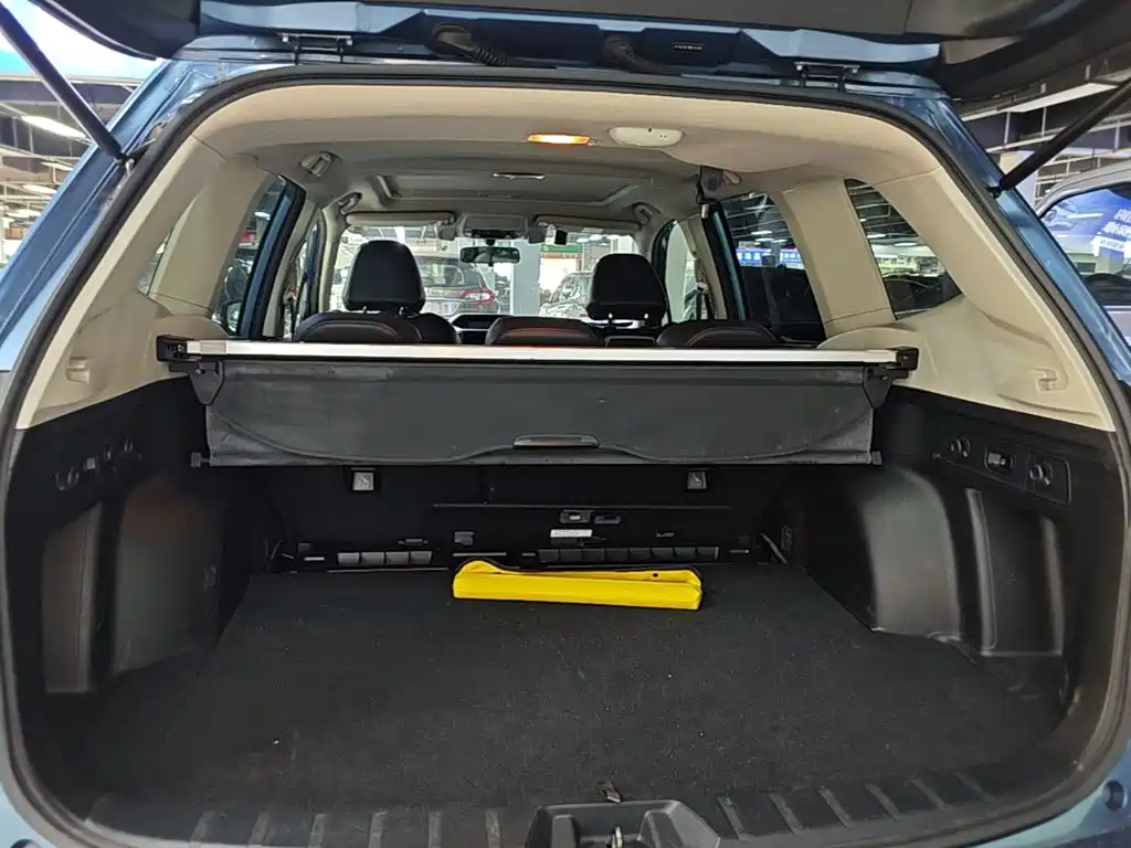 Subaru Forester — миниатюра 19