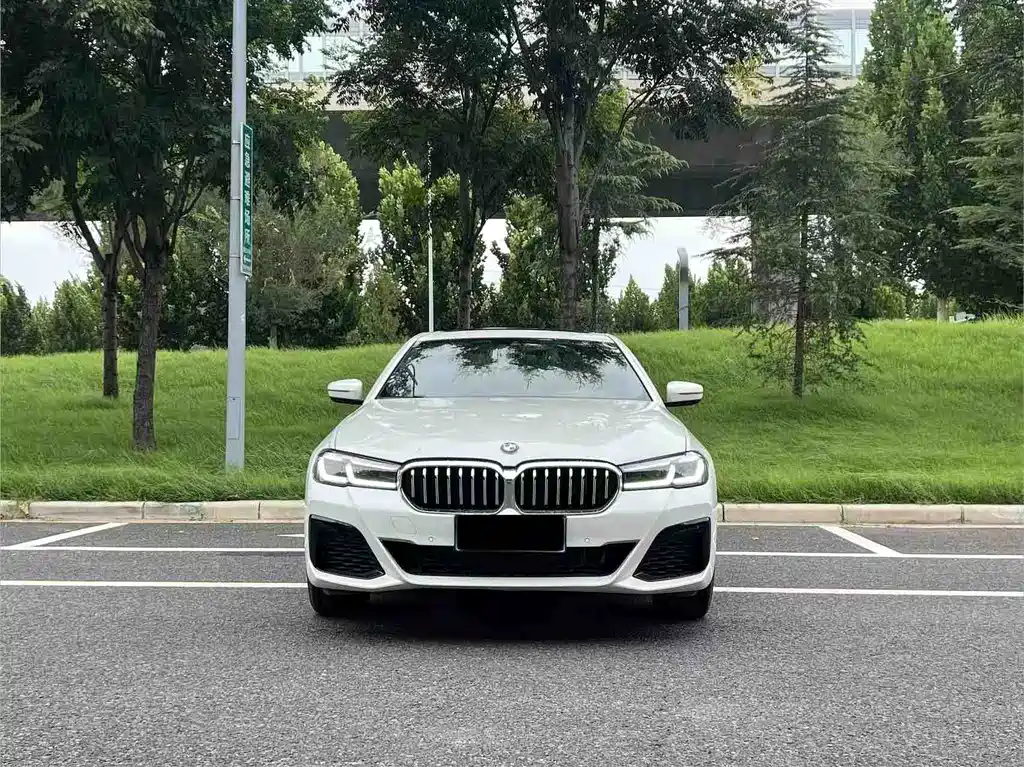 BMW 5 Series — миниатюра 2