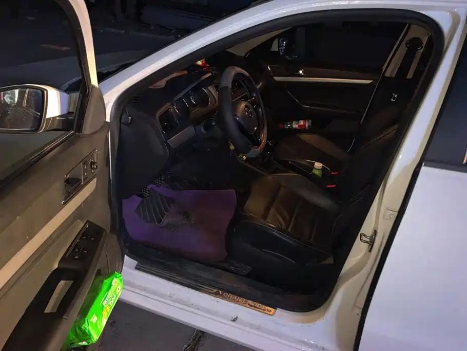 Volkswagen Gran Lavida — миниатюра 9