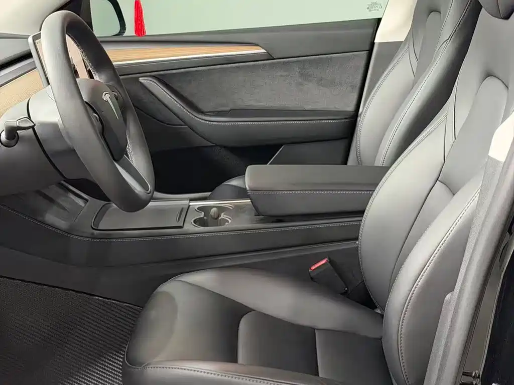 Tesla Model Y — миниатюра 7