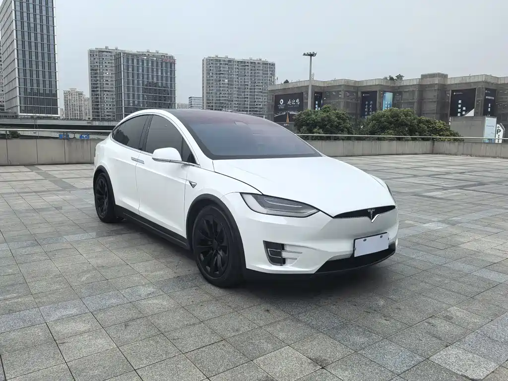 Tesla Model X — миниатюра 3