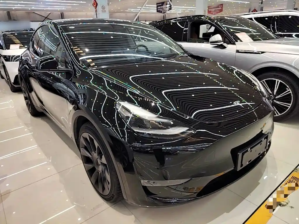 Tesla Model Y — миниатюра 4