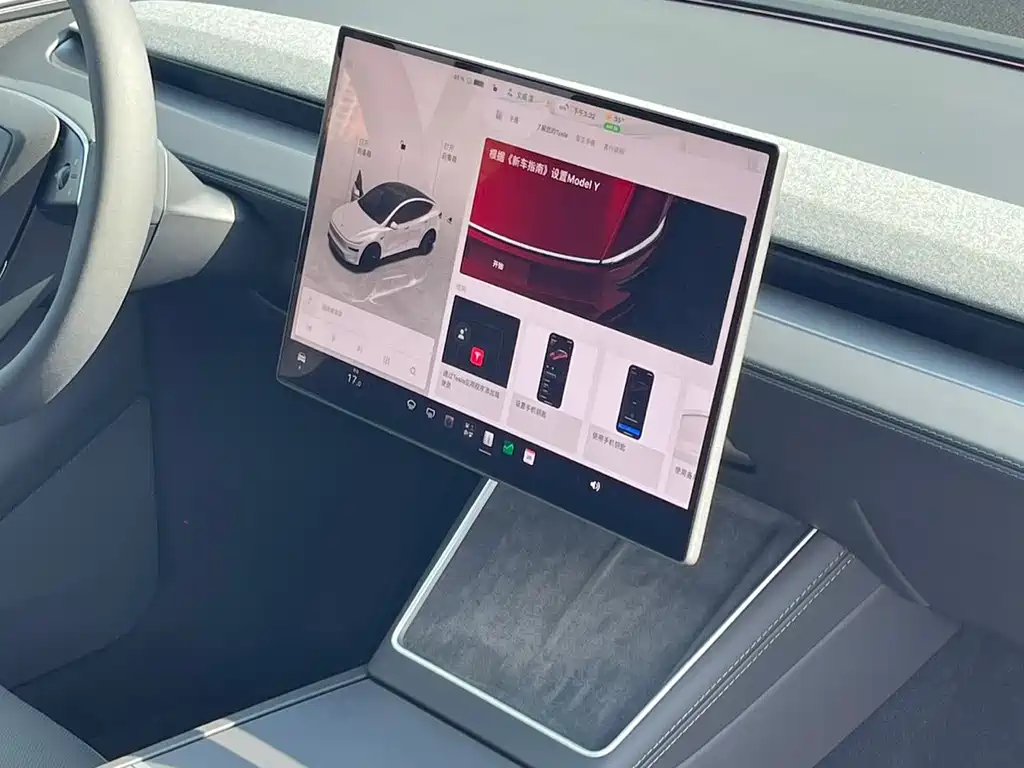 Tesla Model Y — миниатюра 7