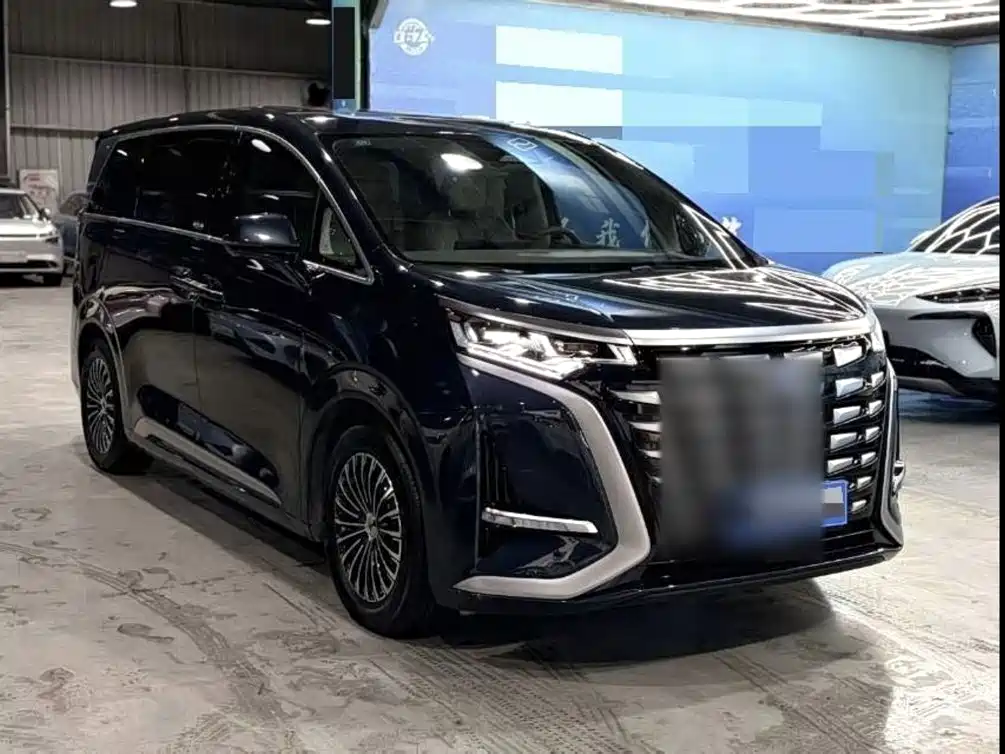 Denza Denza D9 — миниатюра 4