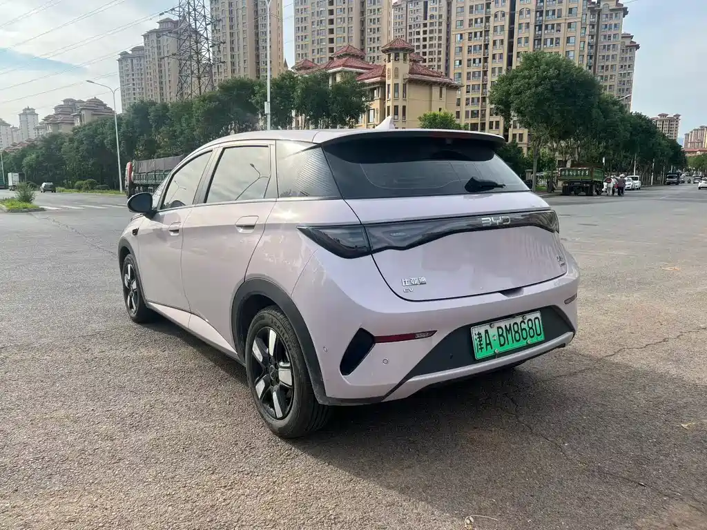 BYD Dolphin 2025 Smart Drive 410km Fashion