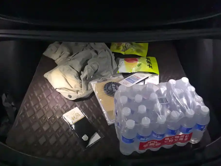 Tesla Model 3 — миниатюра 4