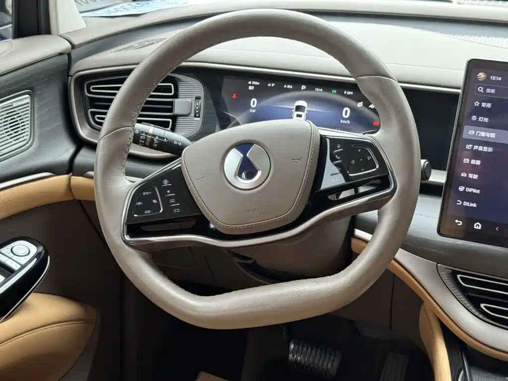 Denza Denza D9 — миниатюра 15
