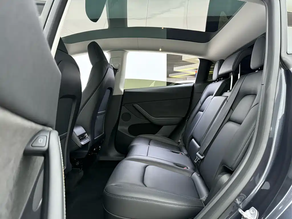Tesla Model Y — миниатюра 7