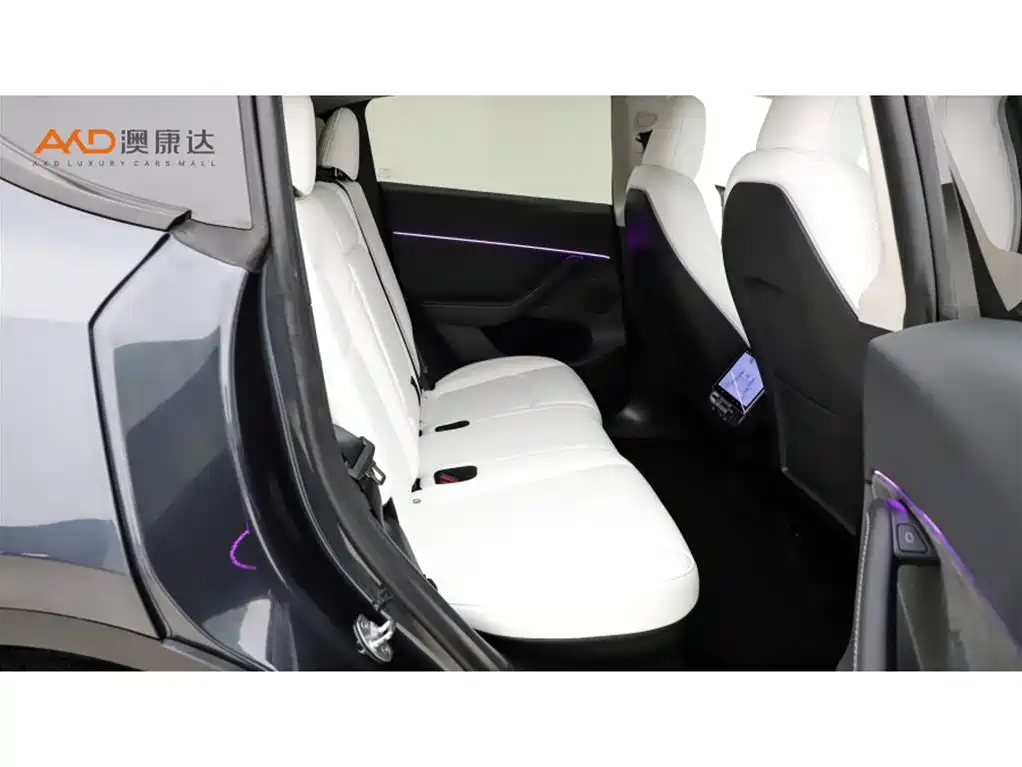 Tesla Model Y — миниатюра 8