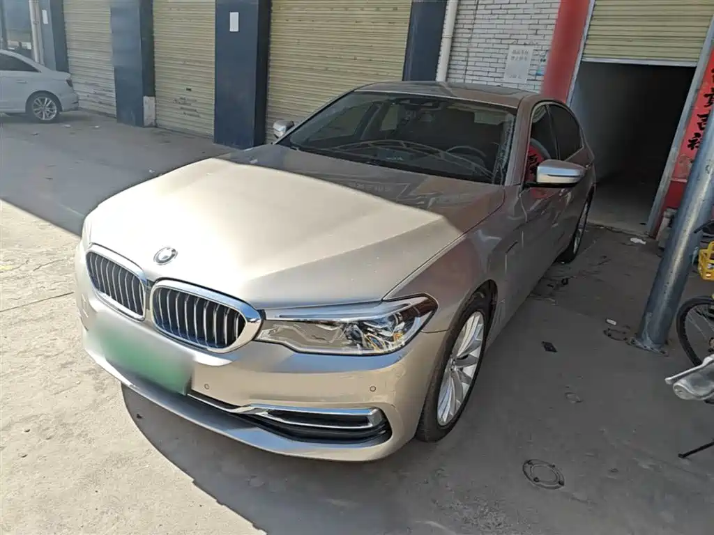 BMW 5 Series New Energy 2020