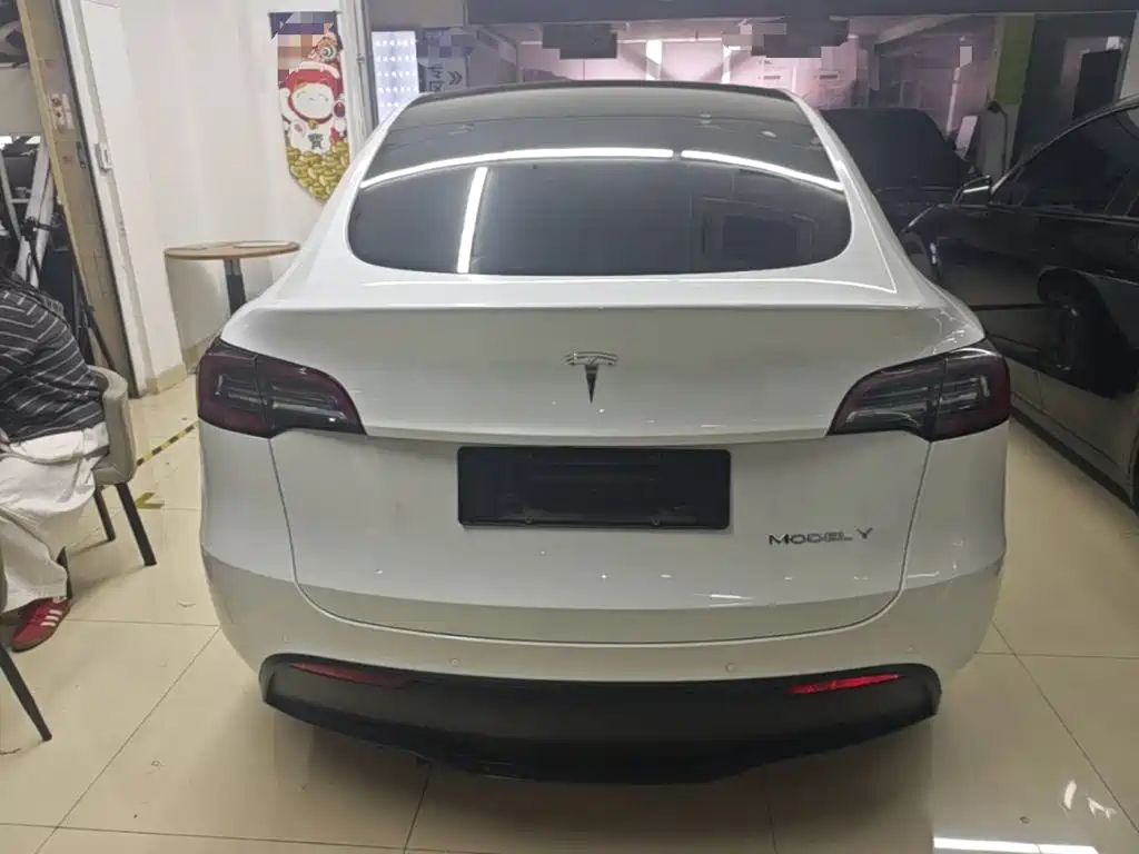 Tesla Model Y — миниатюра 6