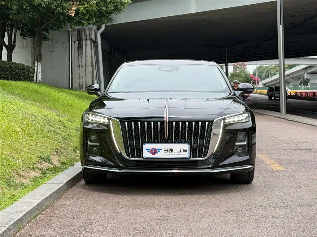 Hongqi H5 2024 2.0T AT
