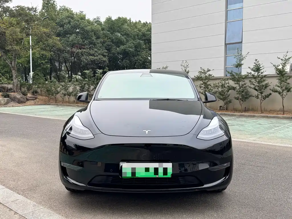Tesla Model Y — миниатюра 2