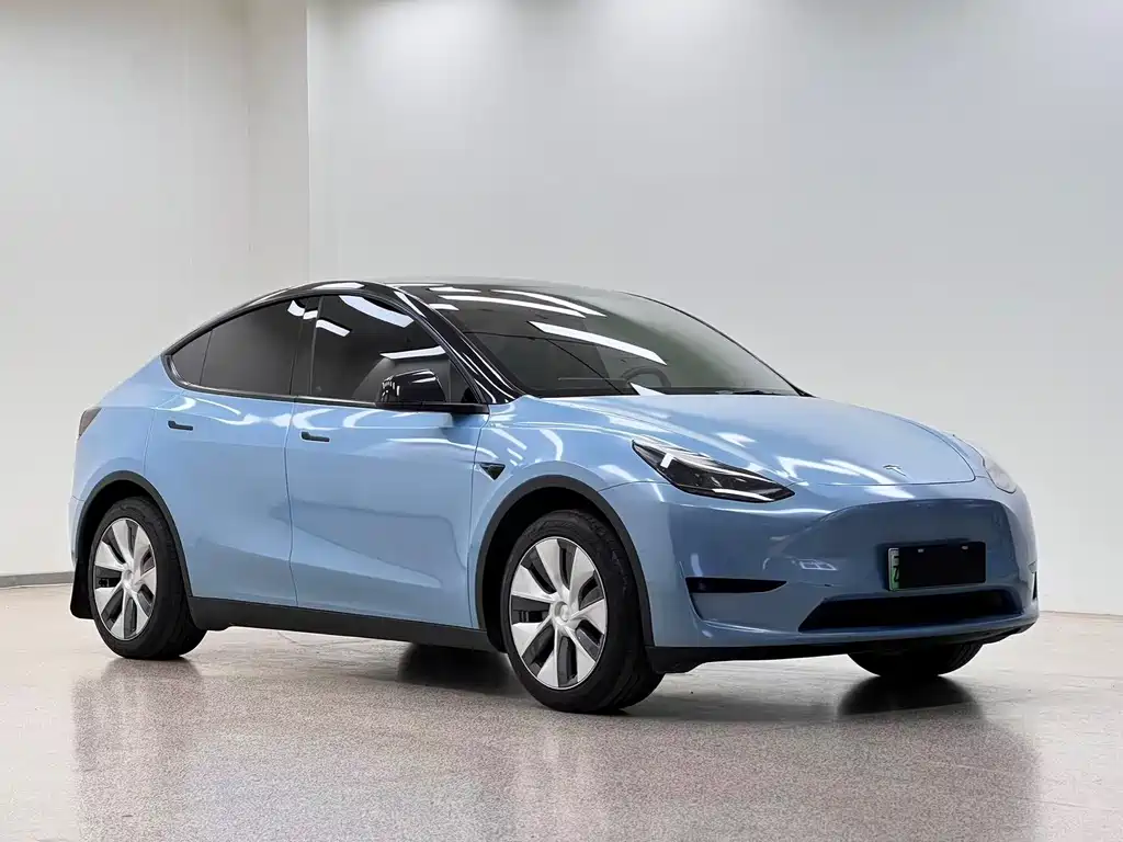 Tesla Model Y — миниатюра 3