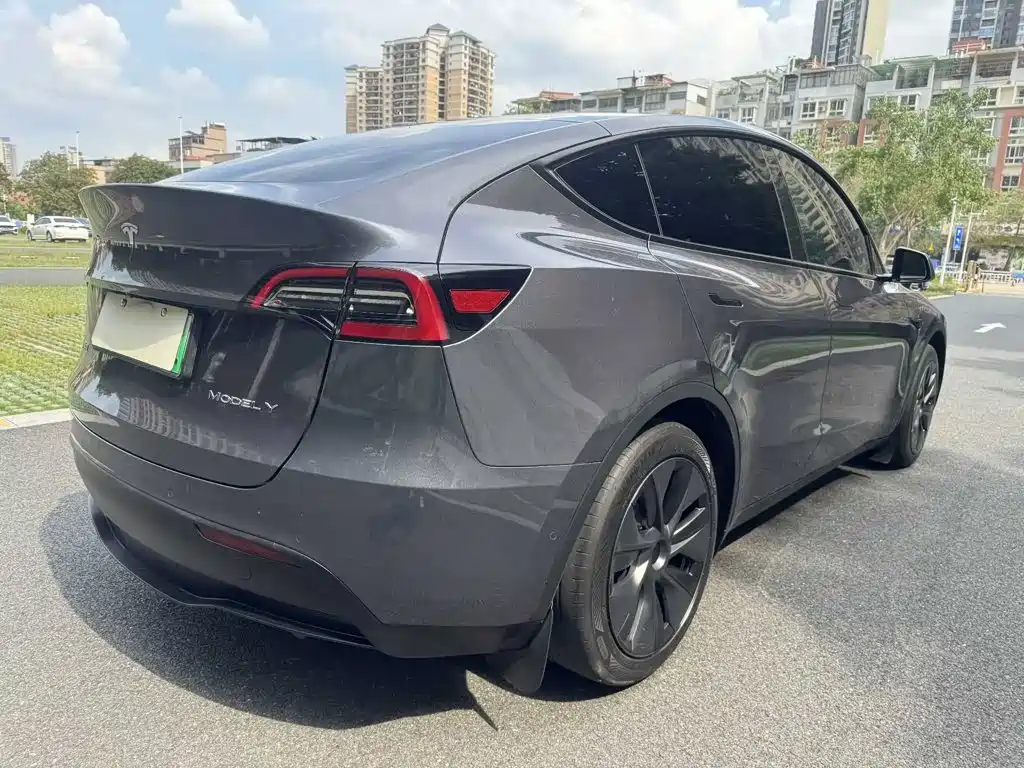 Tesla Model Y — миниатюра 9