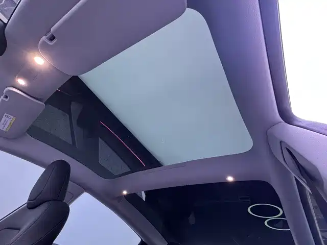 Tesla Model 3 — миниатюра 13
