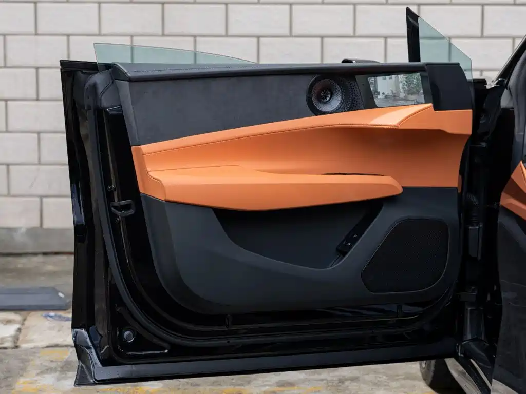 Lotus EMEYA — миниатюра 17
