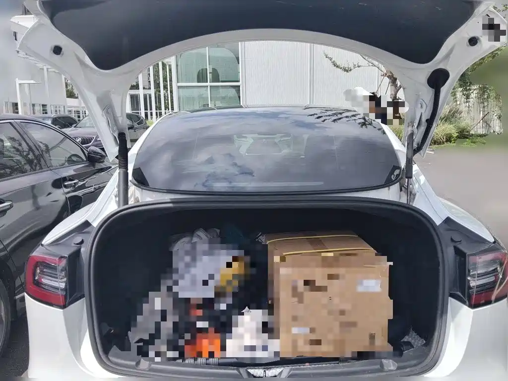 Tesla Model 3 — миниатюра 10
