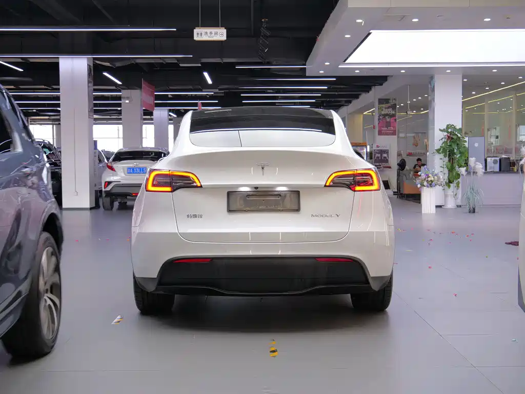 Tesla Model Y — миниатюра 7