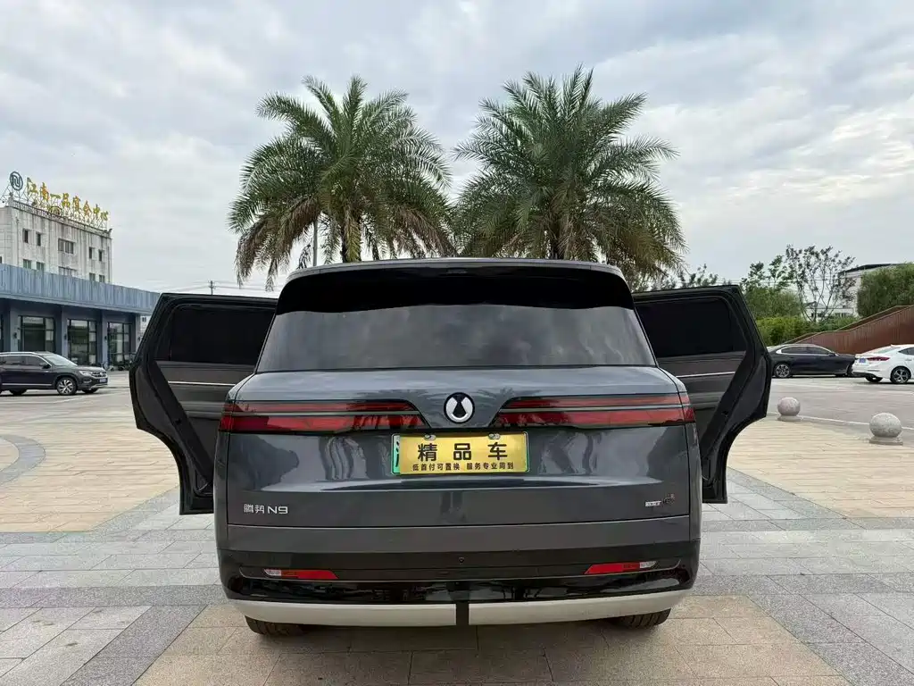 Denza N9 2025 Flagship