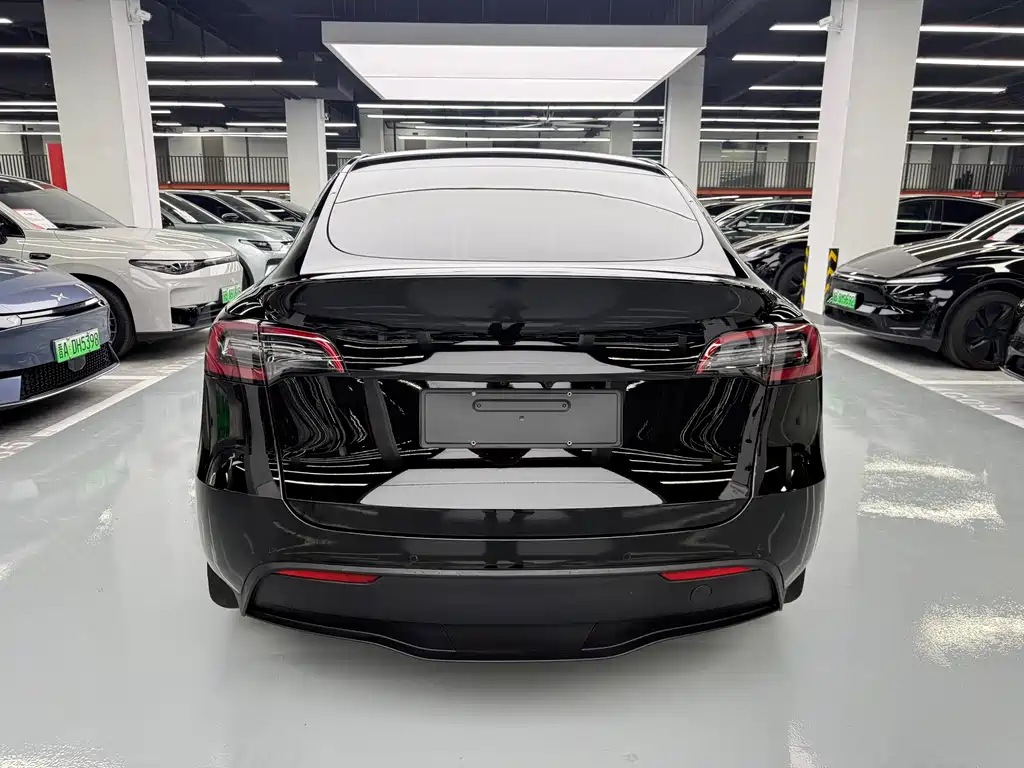 Tesla Model Y — миниатюра 15