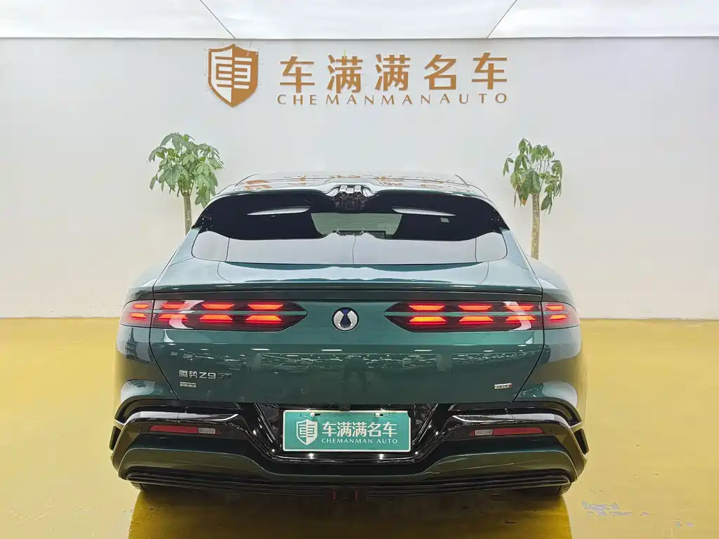 Denza Denza Z9GT — миниатюра 12