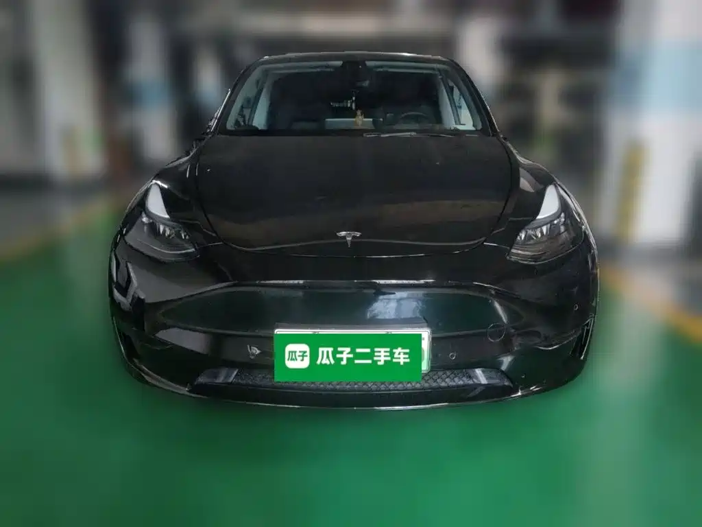 Tesla Model Y — миниатюра 2