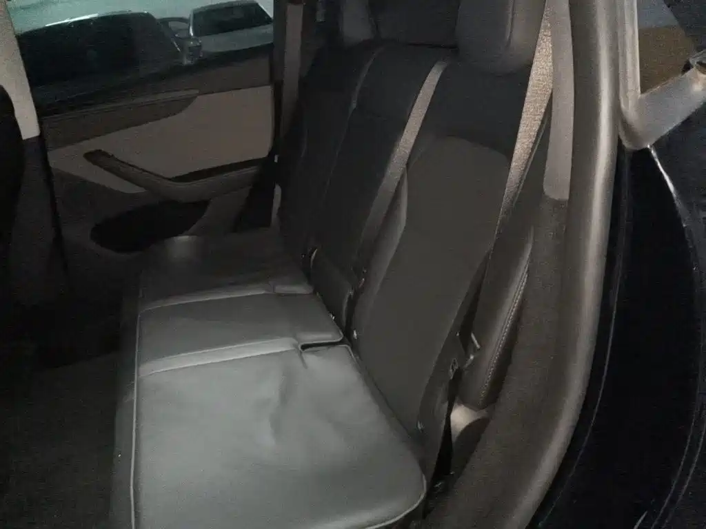 Tesla Model Y — миниатюра 13