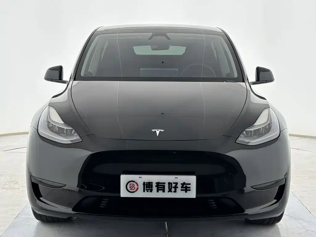 Tesla Model Y — миниатюра 2