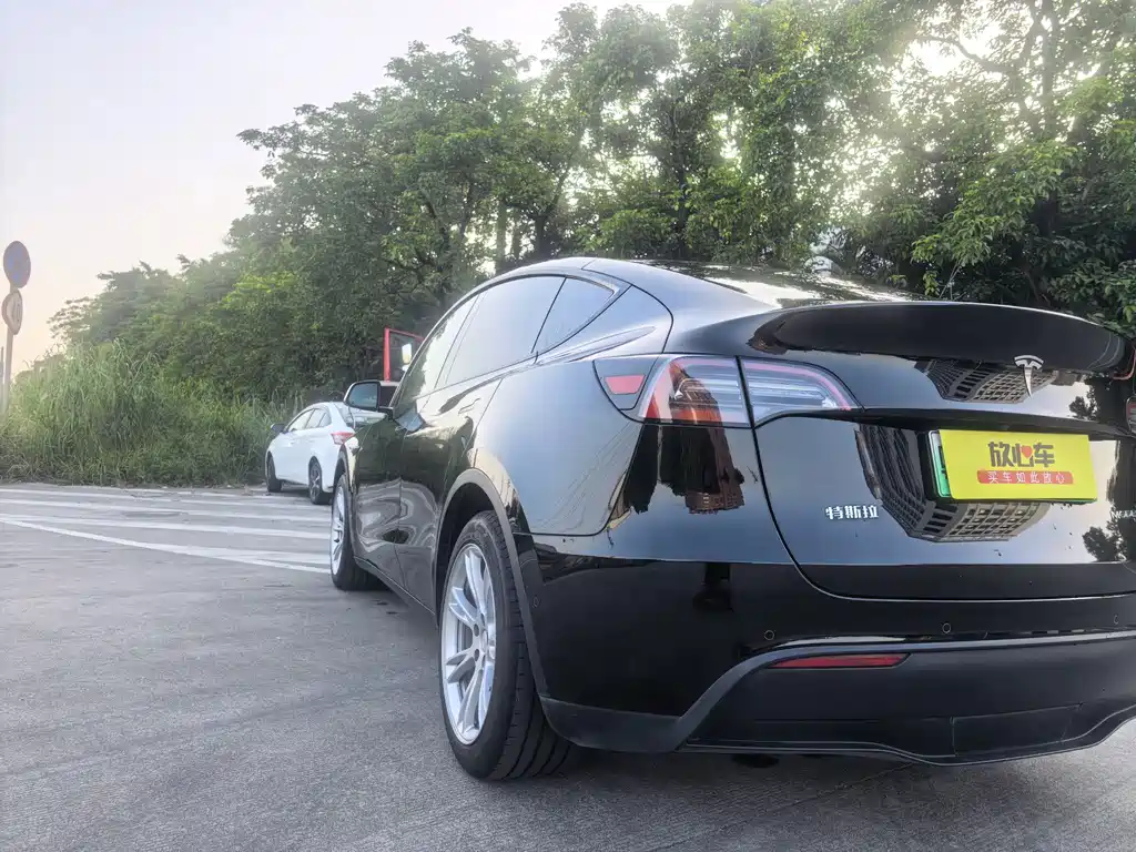 Tesla Model Y — миниатюра 7