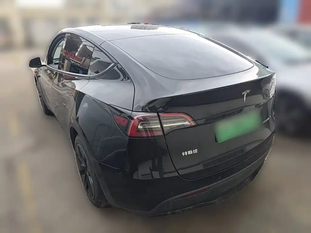 Tesla Model Y — миниатюра 25