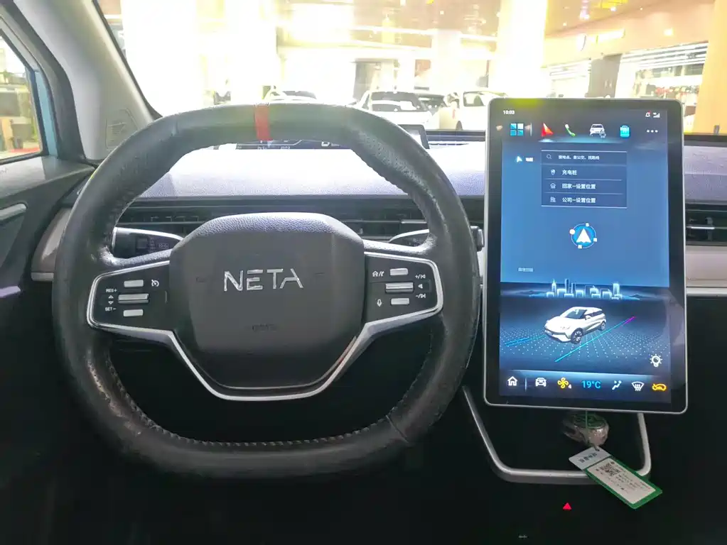 Neta V