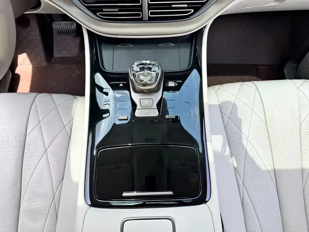 Denza Denza D9 — миниатюра 32