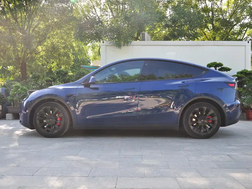 Tesla Model Y — миниатюра 3