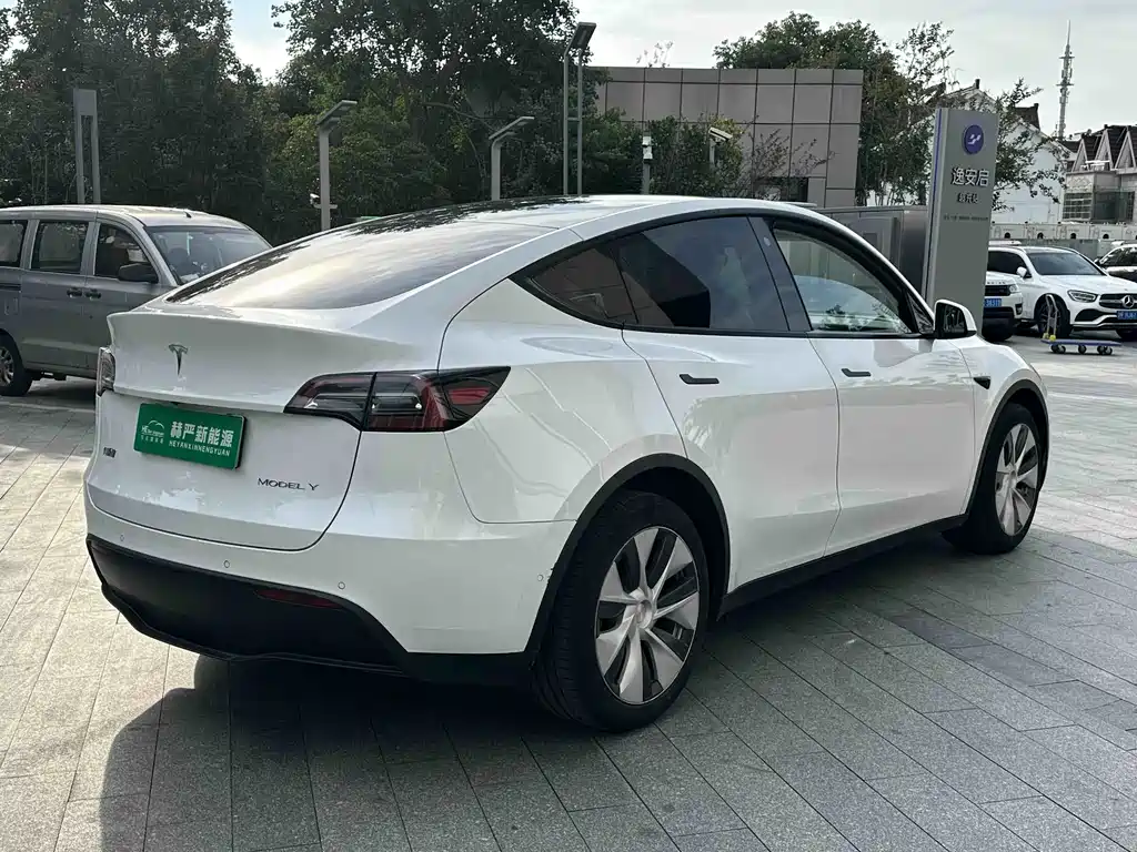 Tesla Model Y — миниатюра 9