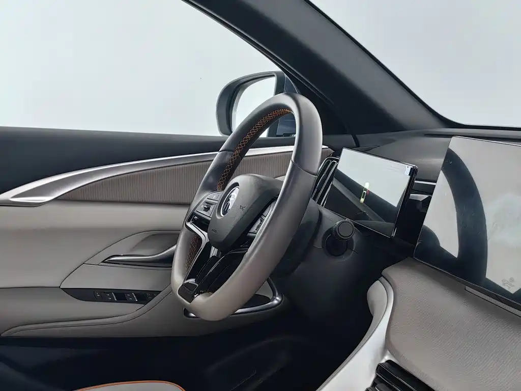 BYD Pro New Energy — миниатюра 22