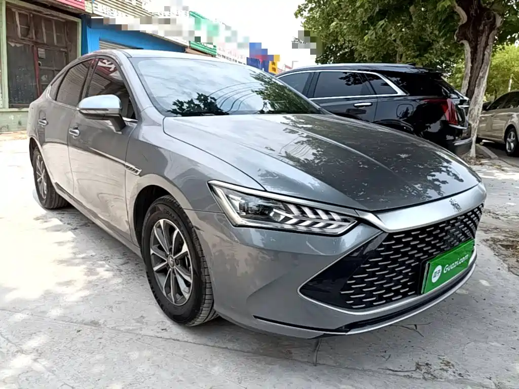 BYD Qin Plus PLUS 2024 DM-i 55KM Lead