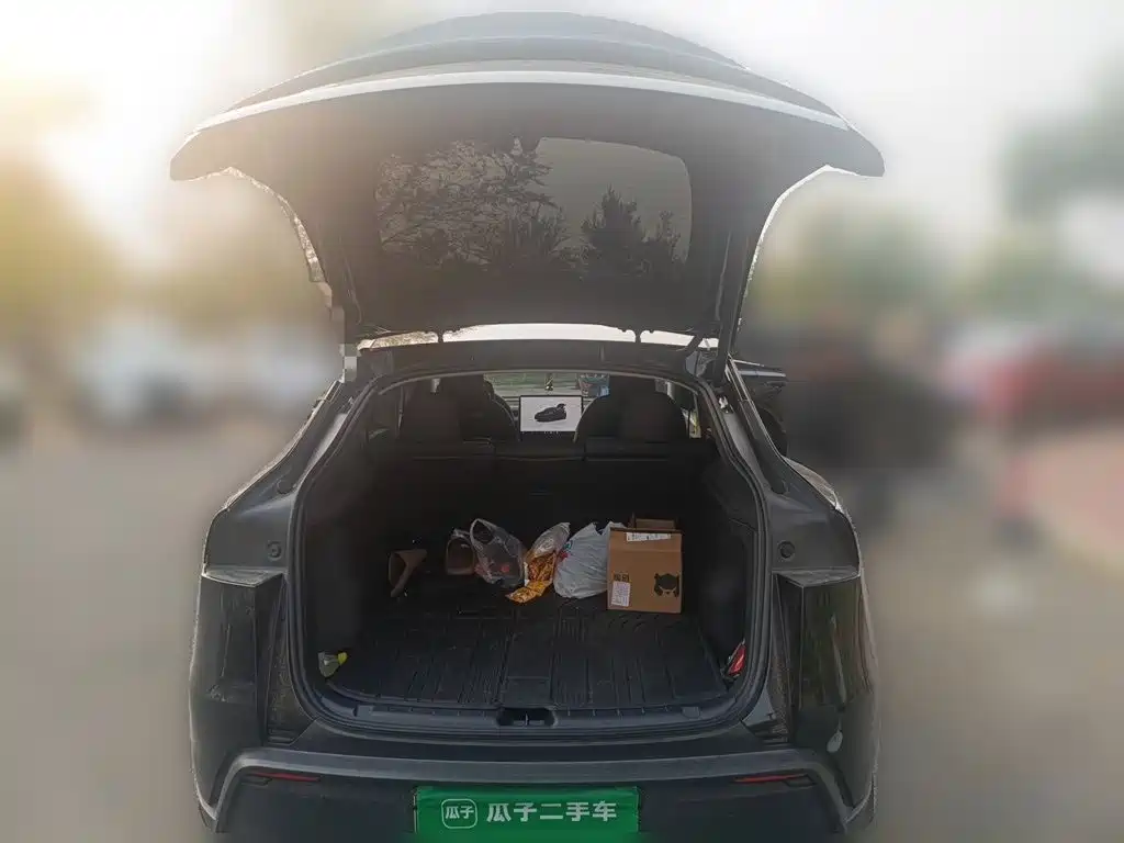Tesla Model Y — миниатюра 20