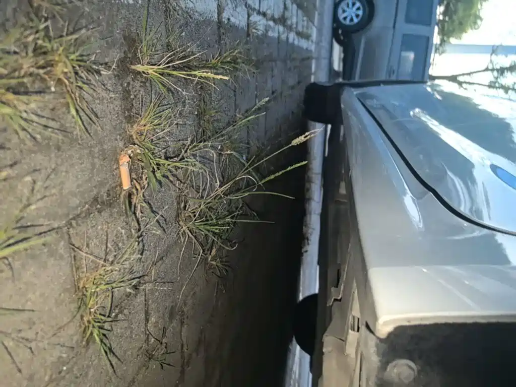 Toyota Corolla — миниатюра 22