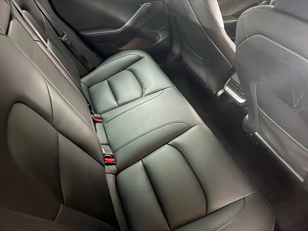 Tesla Model 3 2021 Performance